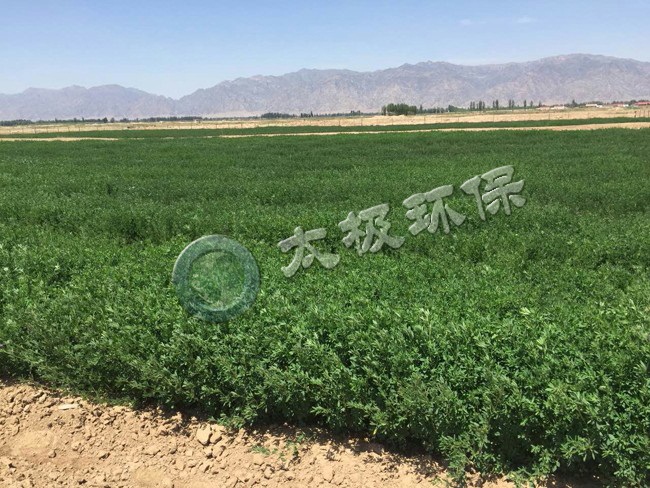 1465373425268819.jpg bgyjd3.jpg